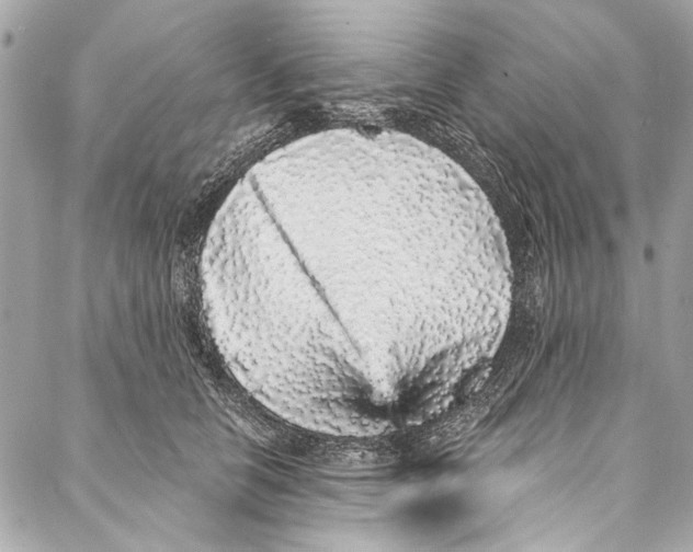 X0000086950658200705071444