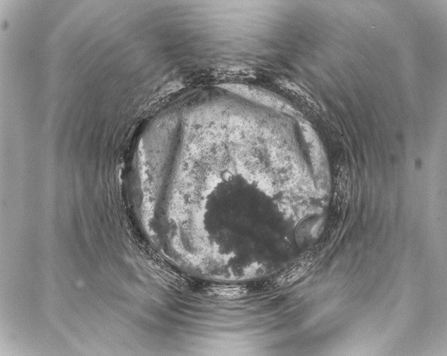 X0000086950659200705071444