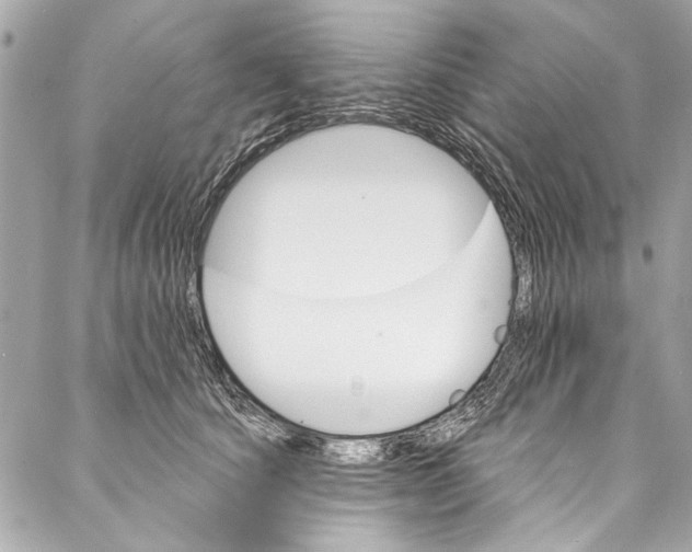 X0000086950660200705071444