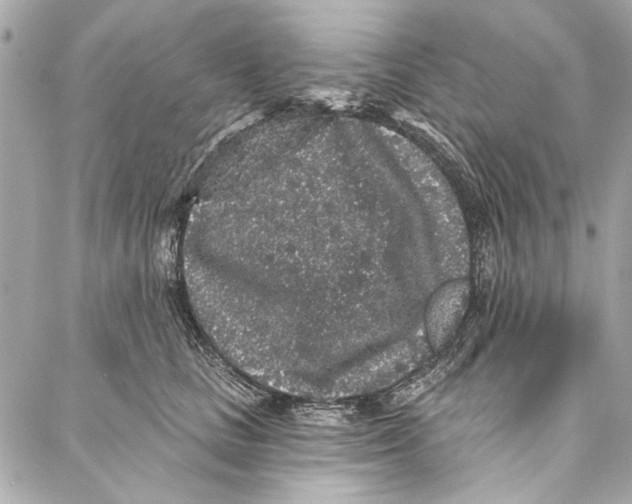 X0000086950661200705071444