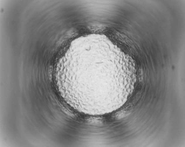 X0000086950664200705071444