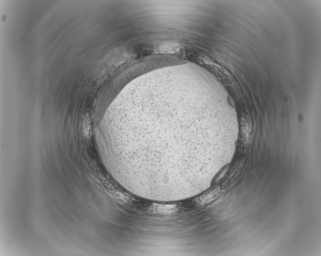 X0000086950665200705071444