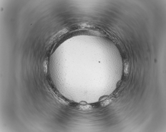 X0000086950666200705071444