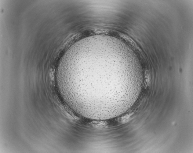 X0000086950667200705071444