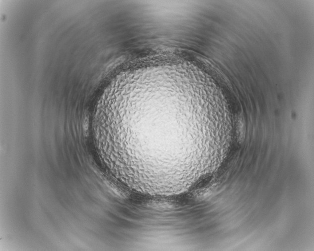 X0000086950668200705071444