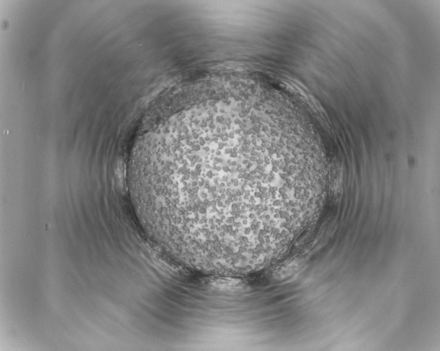 X0000086950669200705071444