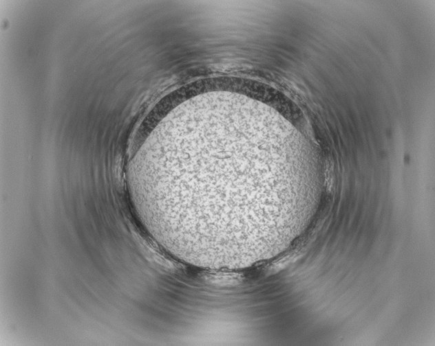 X0000086950670200705071444