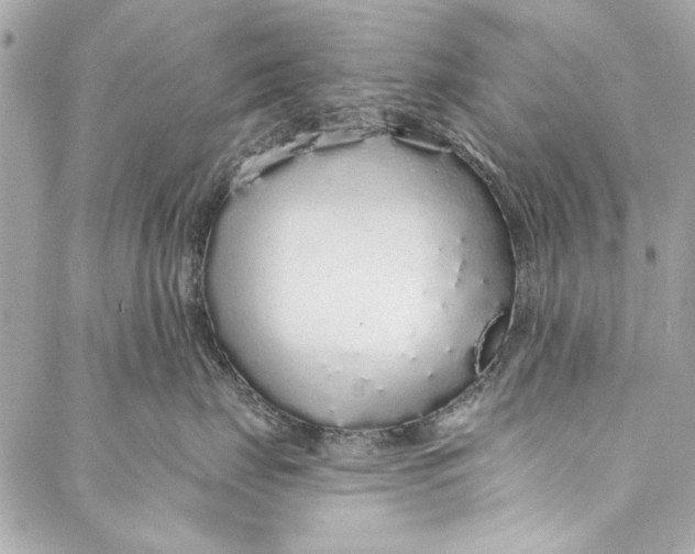 X0000086950671200705071444