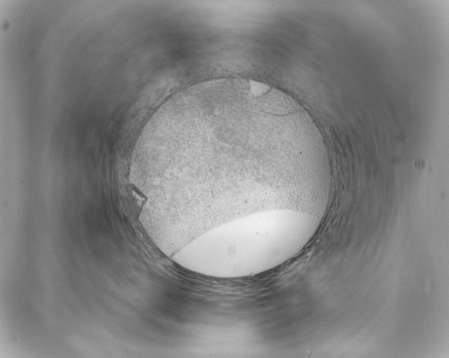 X0000086950672200705071444