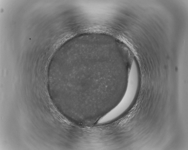 X0000086950673200705071444