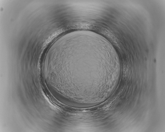 X0000086950674200705071444