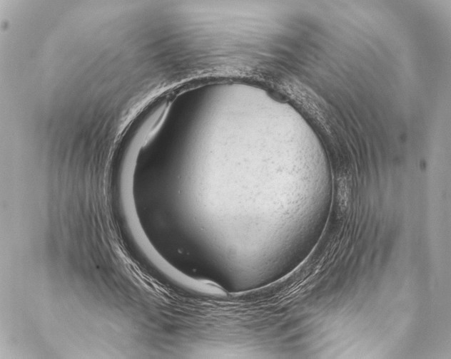 X0000086950676200705071444