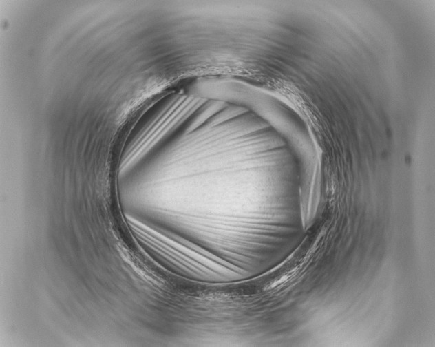 X0000086950677200705071444