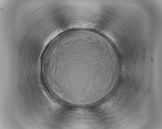 X0000086950678200705071444