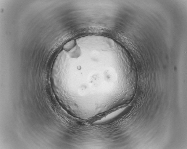 X0000086950679200705071444