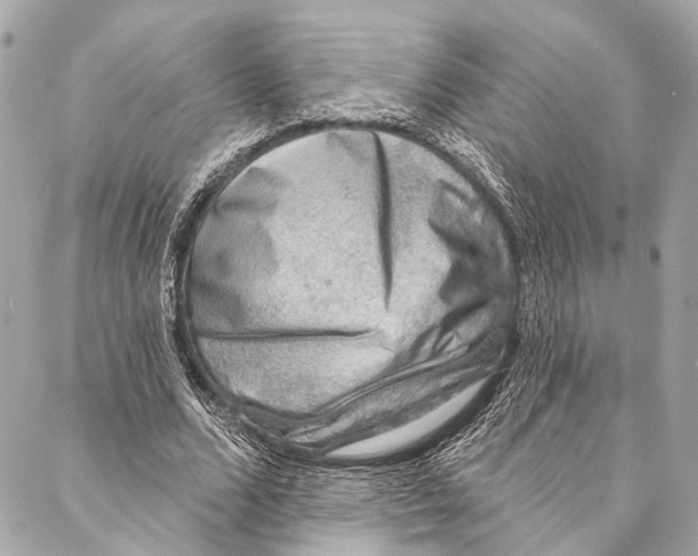 X0000086950680200705071444