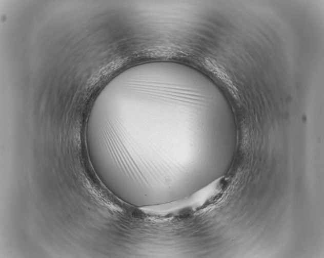 X0000086950681200705071444