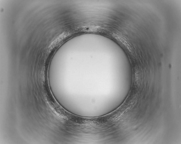 X0000086950682200705071444