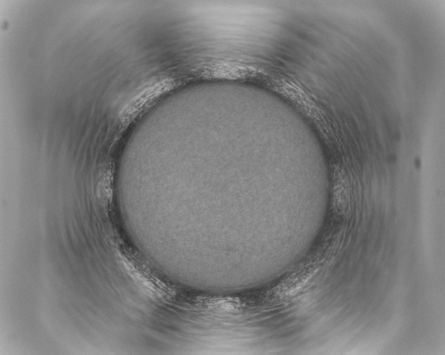 X0000086950683200705071444