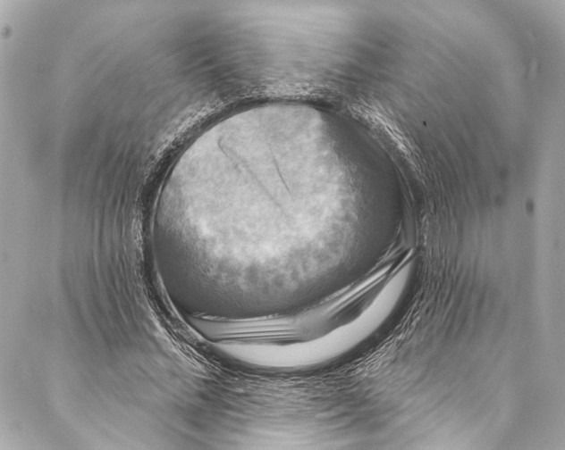 X0000086950684200705071443