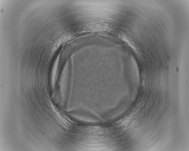 X0000086950685200705071443