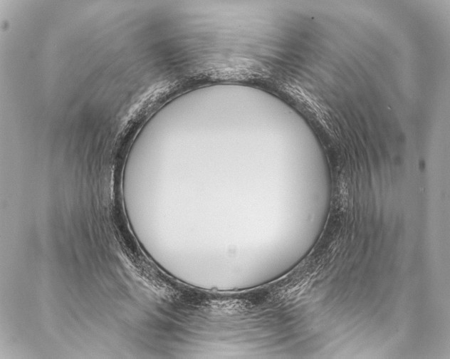 X0000086950686200705071443