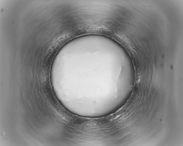 X0000086950687200705071443