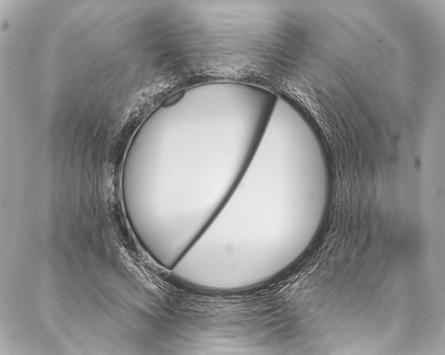 X0000086950688200705071443