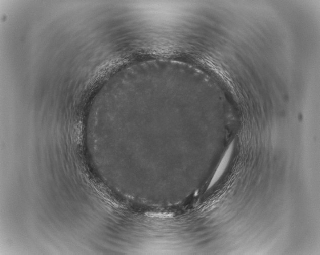 X0000086950689200705071443