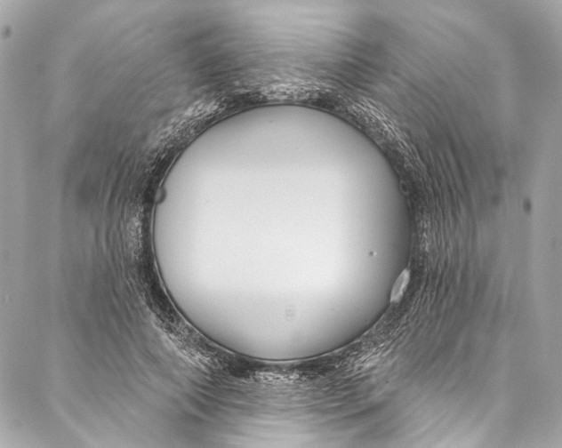 X0000086950690200705071443