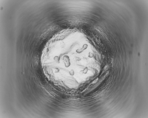 X0000086950691200705071443