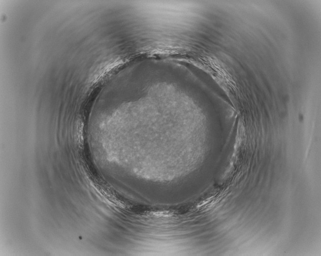 X0000086950692200705071443