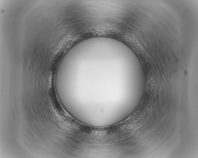 X0000086950694200705071443