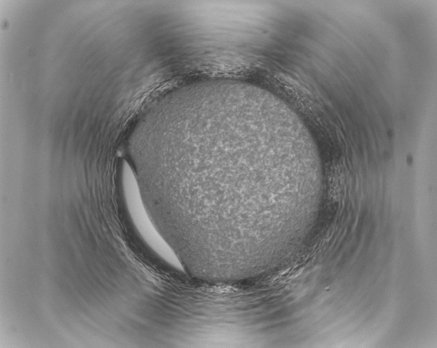 X0000086950695200705071443