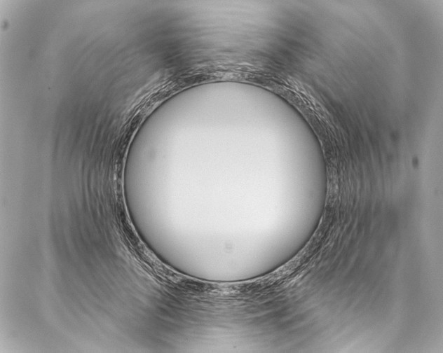 X0000086950696200705071443