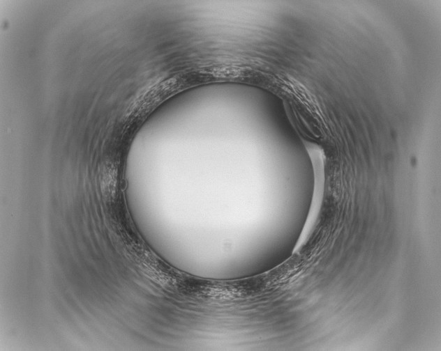 X0000086950697200705071443