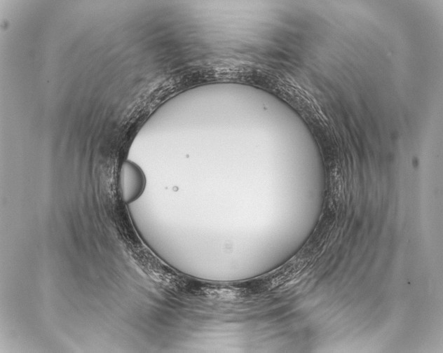 X0000086950698200705071443