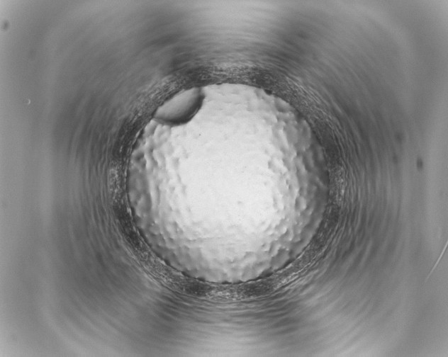 X0000086950699200705071443