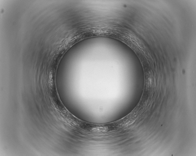 X0000086950700200705071443