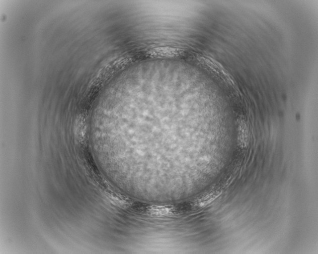 X0000086950701200705071443