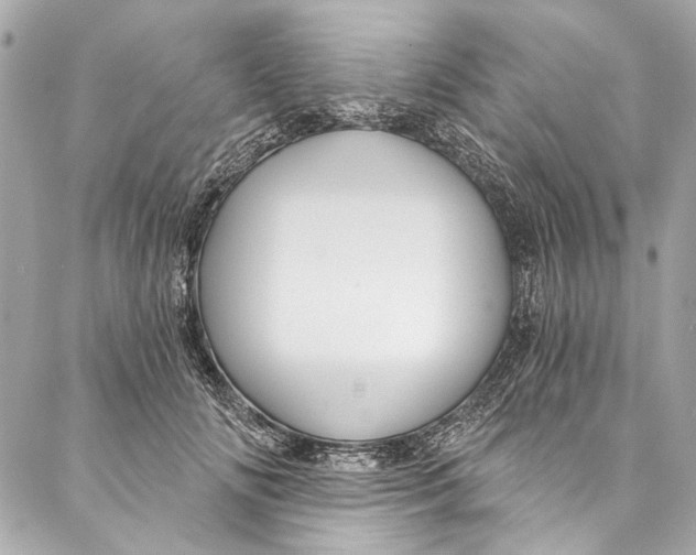 X0000086950702200705071443