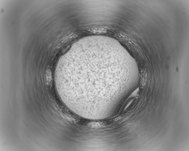 X0000086950704200705071443