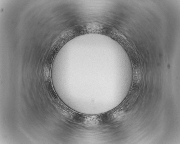 X0000086950705200705071443