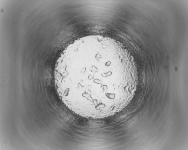 X0000086950707200705071443