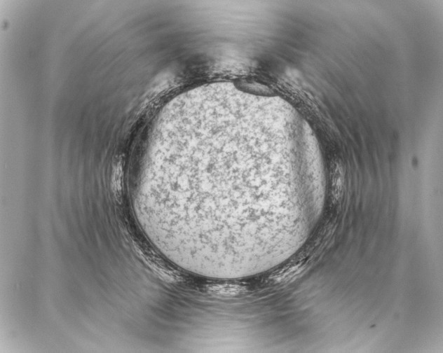 X0000086950708200705071443