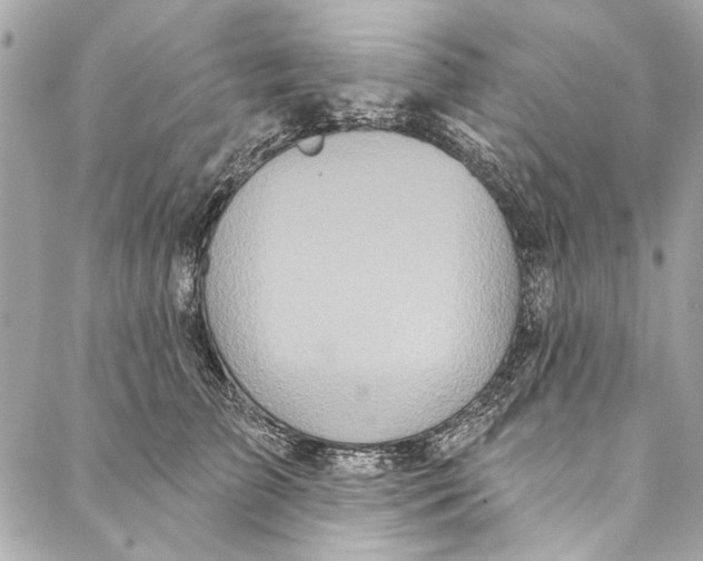 X0000086950709200705071443