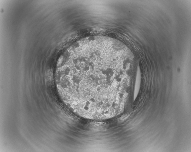 X0000086950711200705071443