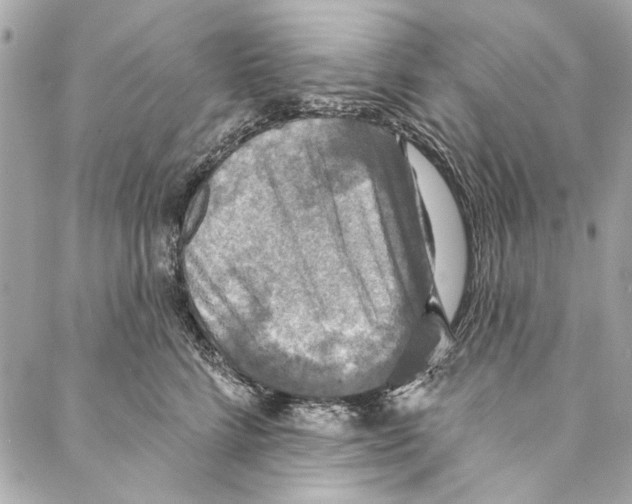 X0000086950712200705071443