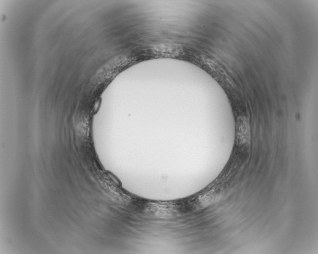 X0000086950713200705071443