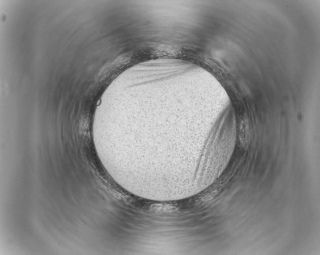 X0000086950714200705071443